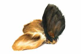 Hairy Cows Ears